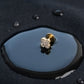 Dainty 14KT Gold Clover Diamond Stud Earrings | IGI Certified, Gross Wt: 1.52, Net Wt: 1.45, Diamond. Wt 0.35